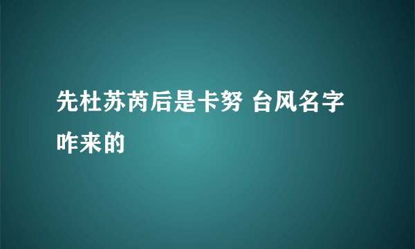 先杜苏芮后是卡努 台风名字咋来的