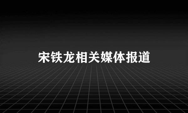 宋铁龙相关媒体报道