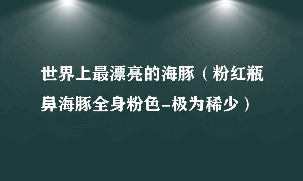 世界上最漂亮的海豚（粉红瓶鼻海豚全身粉色-极为稀少）