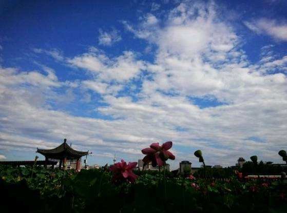 如何看待故宫现天空之境的景象呢?