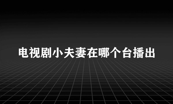 电视剧小夫妻在哪个台播出