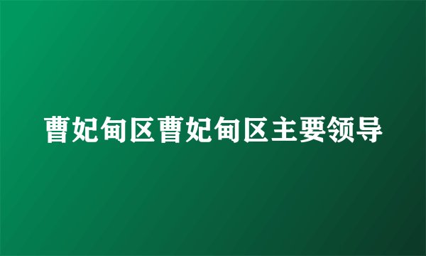 曹妃甸区曹妃甸区主要领导