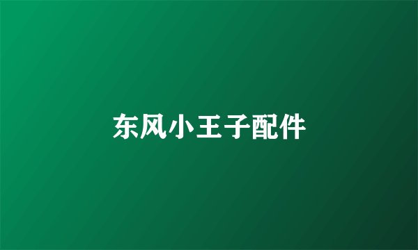 东风小王子配件
