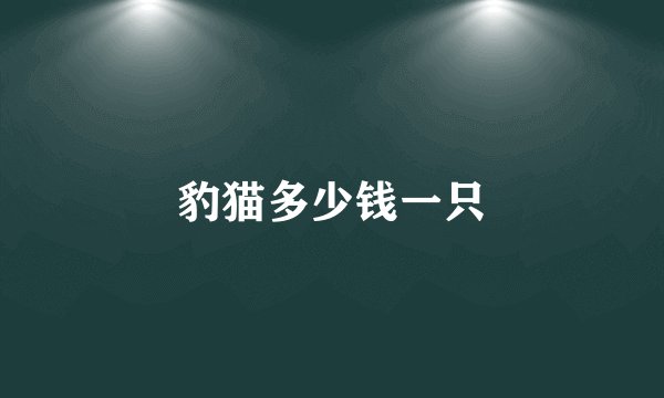 豹猫多少钱一只