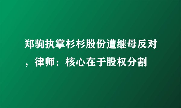 郑驹执掌杉杉股份遭继母反对，律师：核心在于股权分割