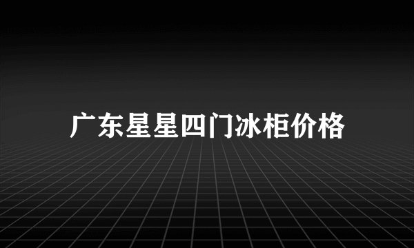 广东星星四门冰柜价格