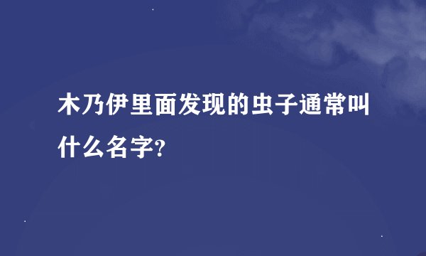 木乃伊里面发现的虫子通常叫什么名字？