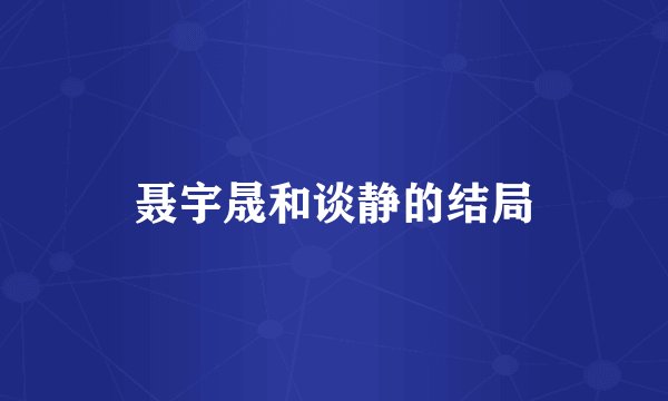 聂宇晟和谈静的结局