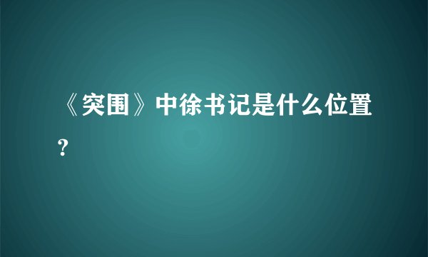 《突围》中徐书记是什么位置?