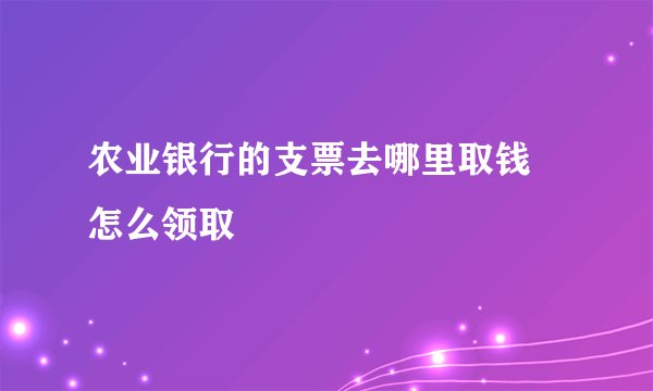 农业银行的支票去哪里取钱 怎么领取