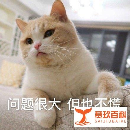 糟了！忘记穿内衣了！