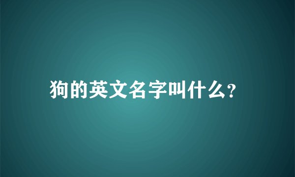 狗的英文名字叫什么？