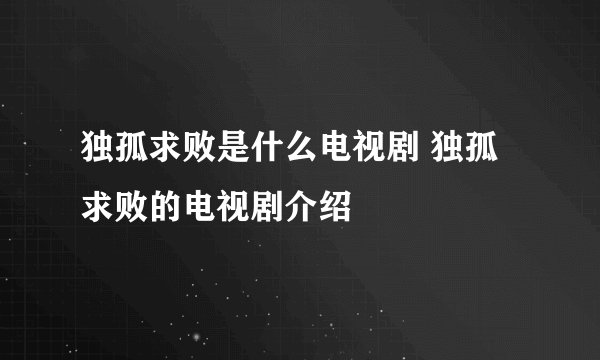 独孤求败是什么电视剧 独孤求败的电视剧介绍