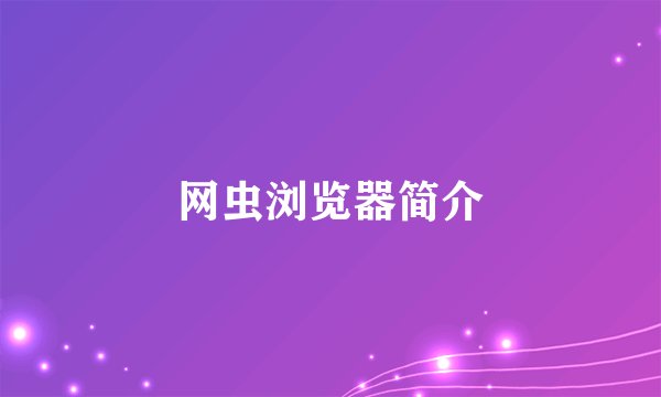 网虫浏览器简介