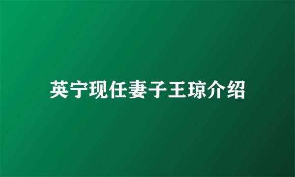 英宁现任妻子王琼介绍