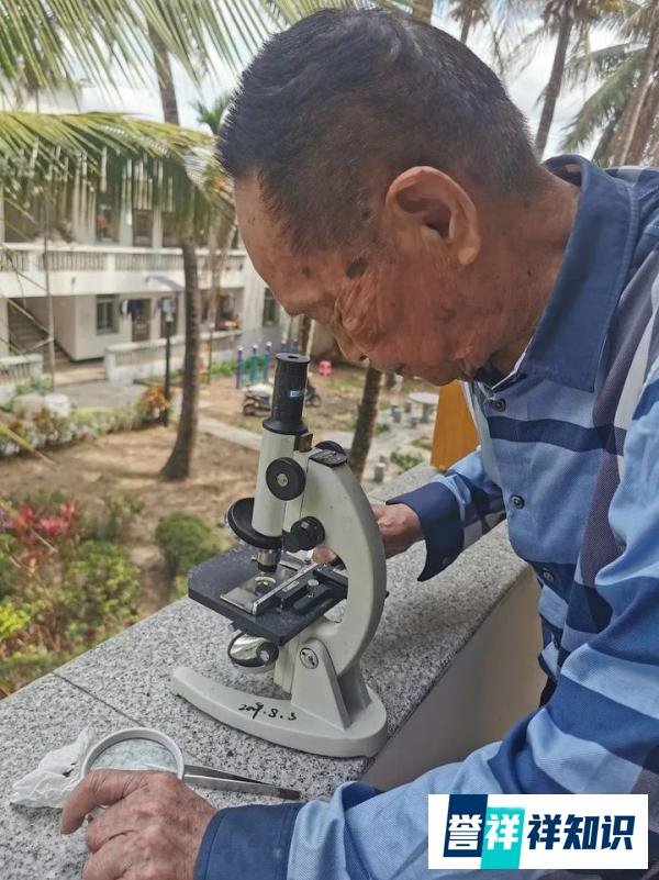 粮荒?别慌,袁隆平送给大家一颗“定心丸”