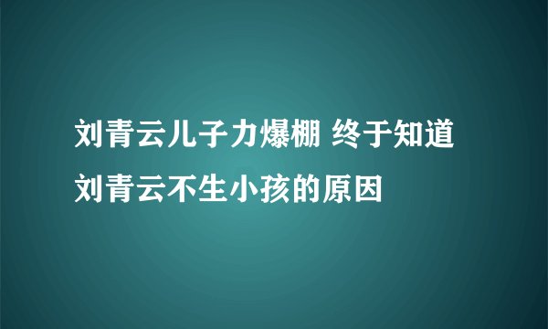 刘青云儿子力爆棚 终于知道刘青云不生小孩的原因