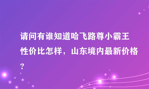 请问有谁知道哈飞路尊小霸王性价比怎样，山东境内最新价格？