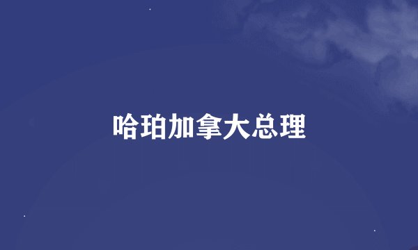 哈珀加拿大总理
