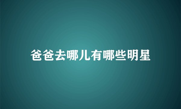 爸爸去哪儿有哪些明星