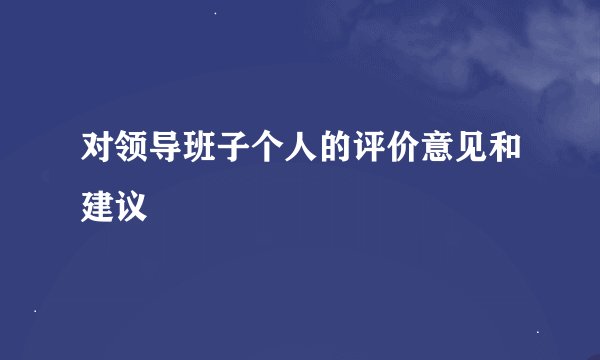 对领导班子个人的评价意见和建议