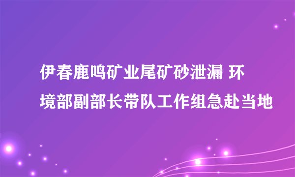 伊春鹿鸣矿业尾矿砂泄漏 环境部副部长带队工作组急赴当地