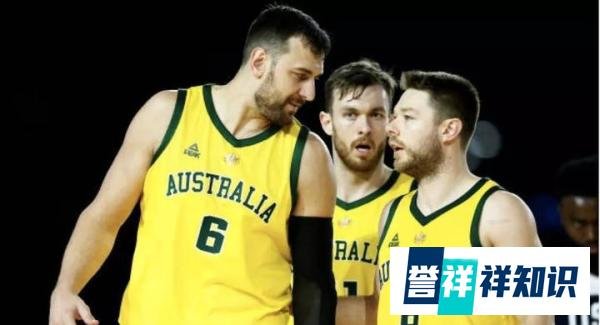 刚刚!博古特被罚了!FIBA正式公布结果!没想到这货再次挑衅