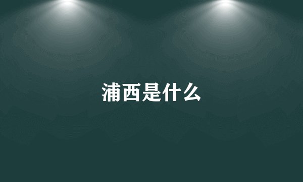 浦西是什么
