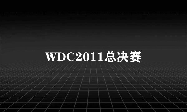 WDC2011总决赛
