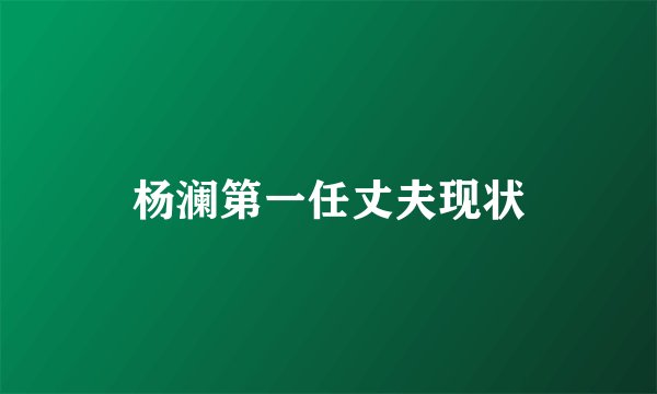 杨澜第一任丈夫现状