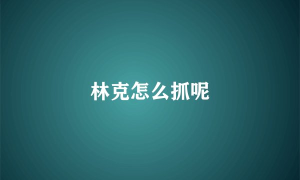 林克怎么抓呢