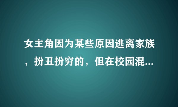 女主角因为某些原因逃离家族，扮丑扮穷的，但在校园混的风生水起的搞笑小说