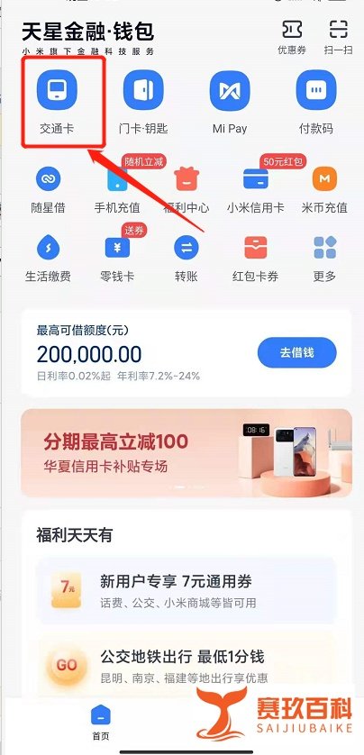 《阿玛拉王国:惩罚》各种任务详细攻略心得