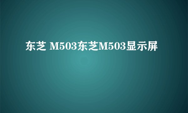 东芝 M503东芝M503显示屏