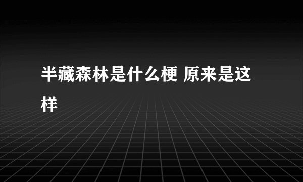 半藏森林是什么梗 原来是这样