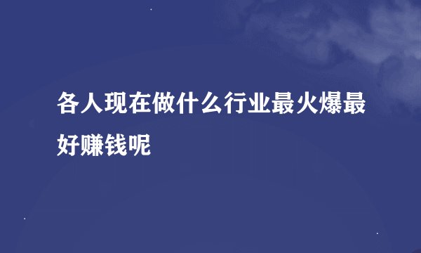 各人现在做什么行业最火爆最好赚钱呢