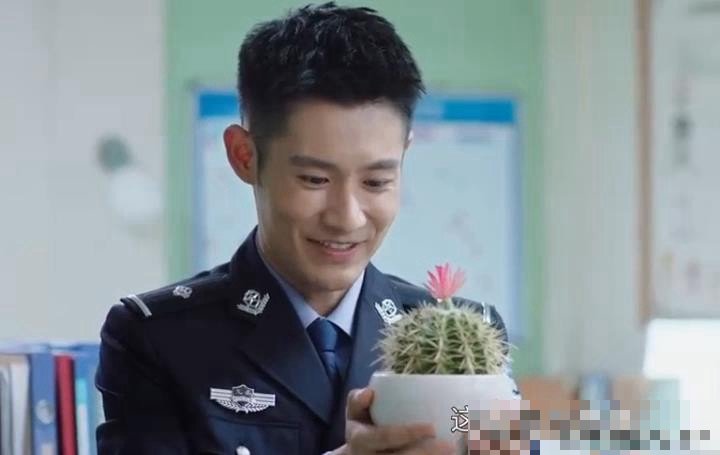 我的高官妈妈林涛大结局剧情解析