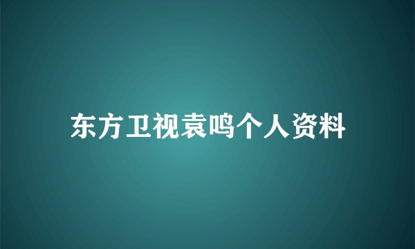 东方卫视袁鸣个人资料