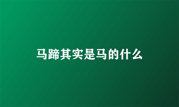 马蹄其实是马的什么