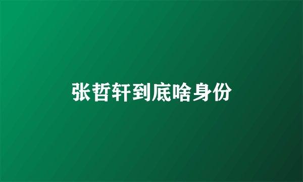 张哲轩到底啥身份