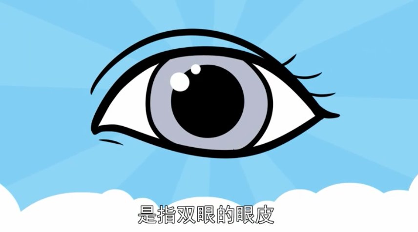 睑的拼音