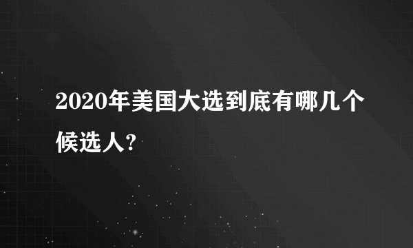 2020年美国大选到底有哪几个候选人?