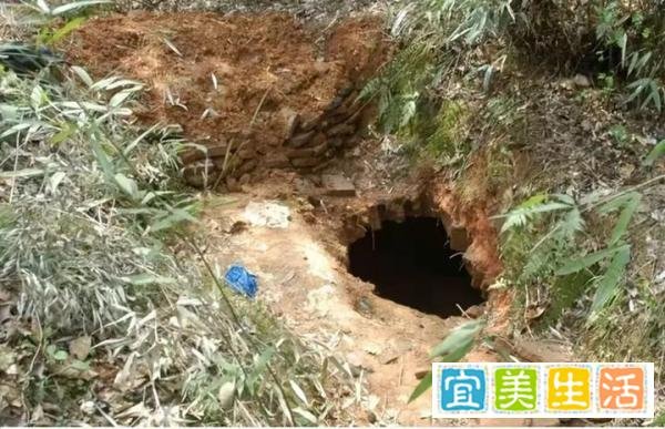 湖北男子查阅古籍精准定位古墓！承包土地盖养鸡场疯狂盗挖！