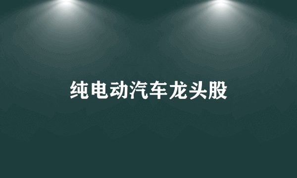 纯电动汽车龙头股