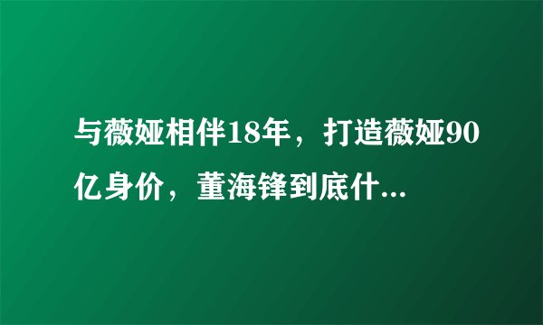 与薇娅相伴18年，打造薇娅90亿身价，董海锋到底什么来历？