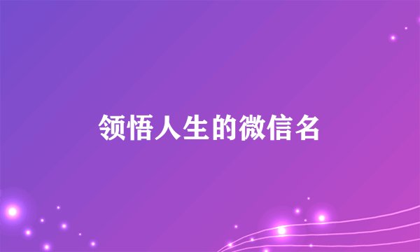 领悟人生的微信名