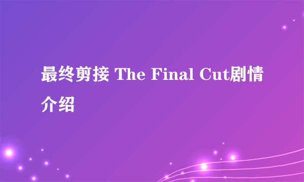 最终剪接 The Final Cut剧情介绍