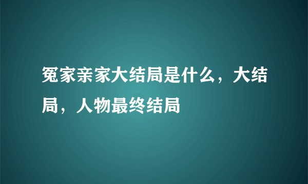 冤家亲家大结局是什么,大结局,人物最终结局