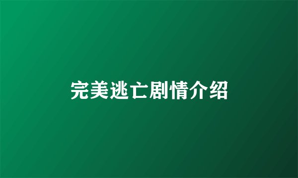 完美逃亡剧情介绍