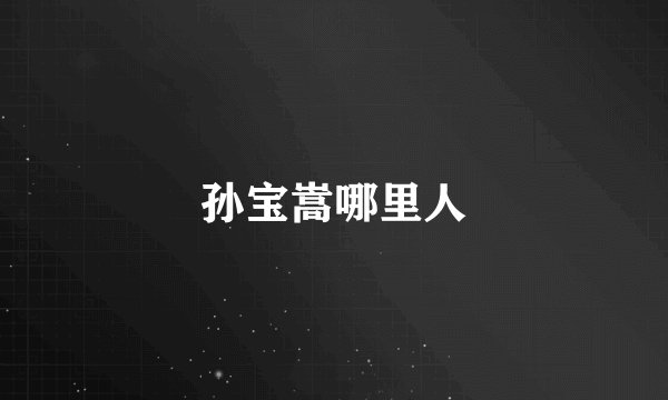 孙宝嵩哪里人